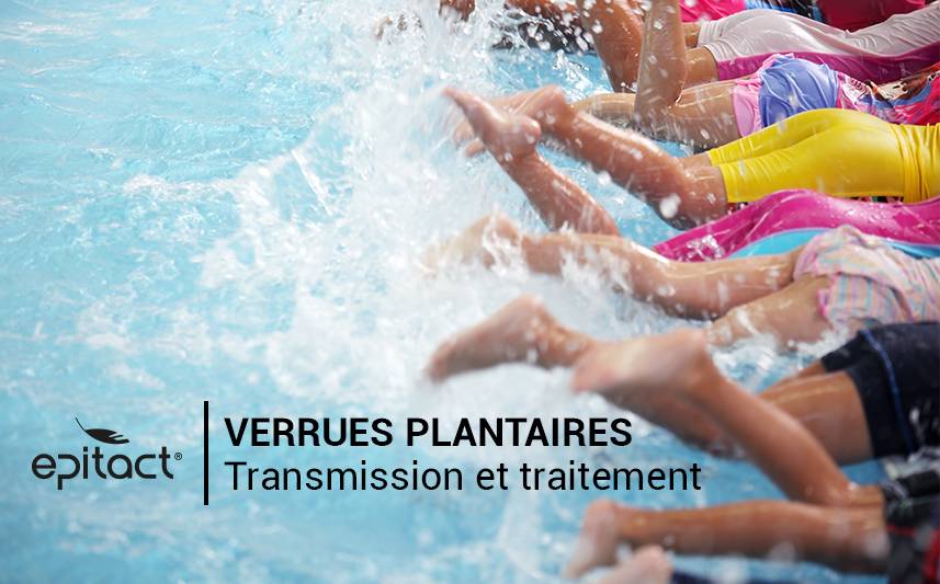 Transmission et traitement des verrues